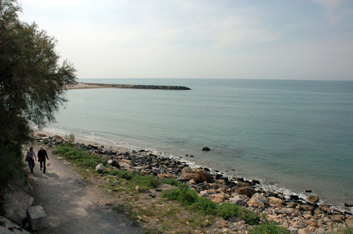 sete1 (11).jpg